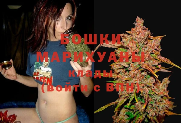 гидропоника Вязьма