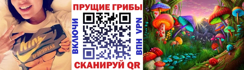 Купить где  Вельск  Псилоцибиновые грибы мицелий 